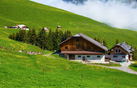 Montagna